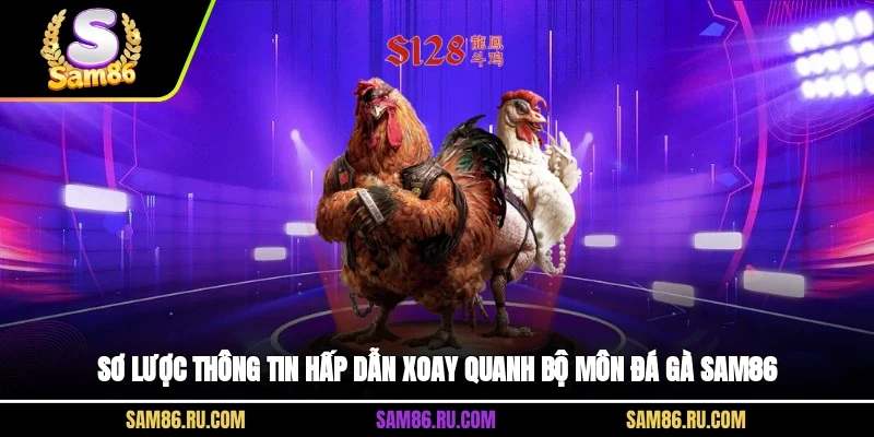 Sơ lược thông tin hấp dẫn xoay quanh bộ môn đá gà Sam86